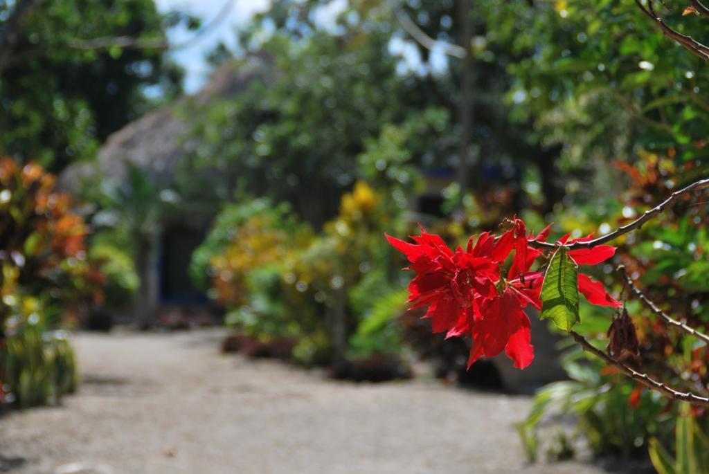 Villas Ecotucan Bacalar Exterior photo